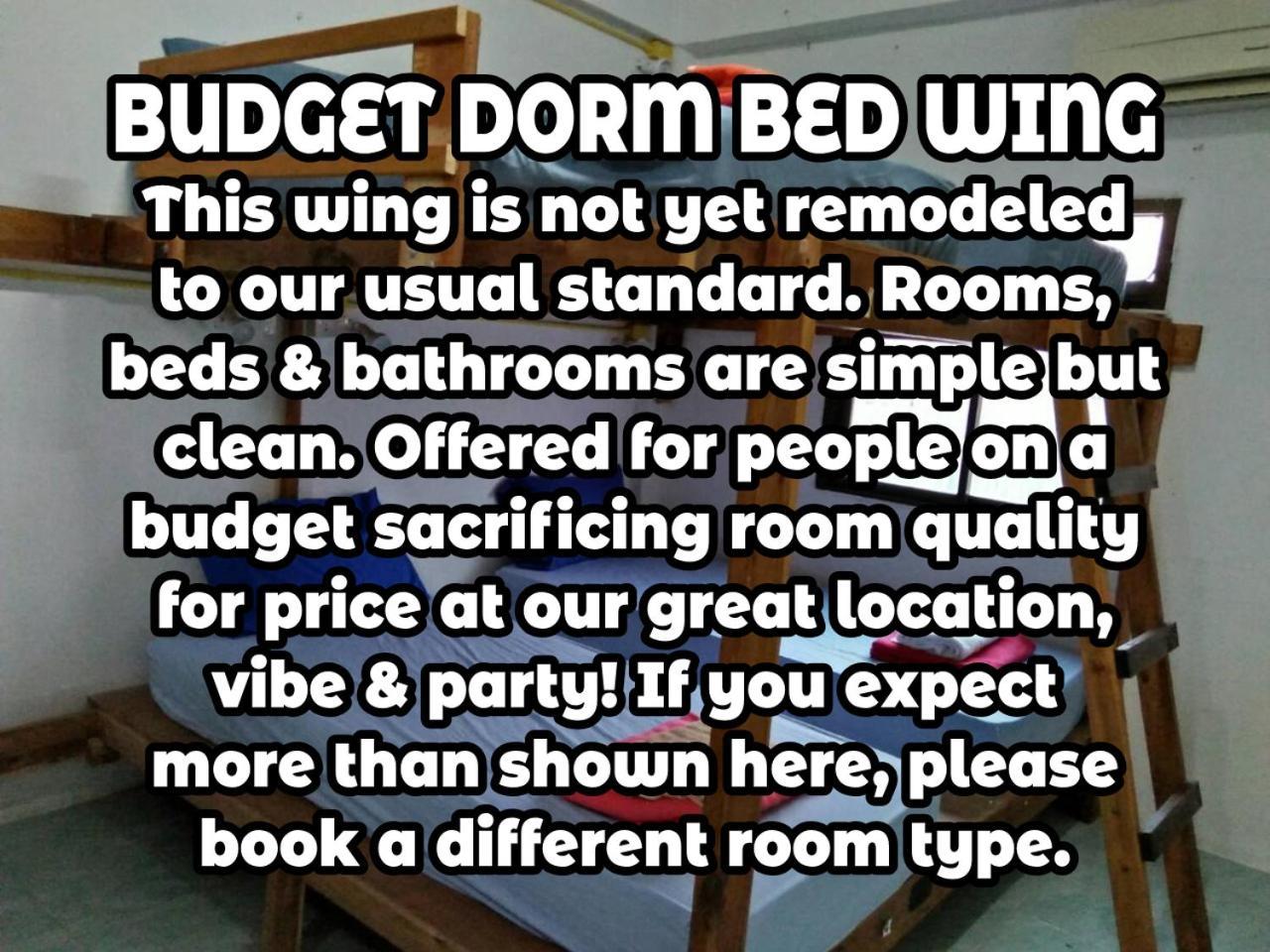 Wild & Wandering Backpacker Hostel & Bar Haad Rin Rom bilde